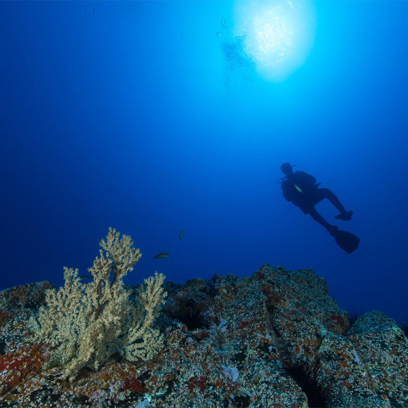 scuba riviera maya