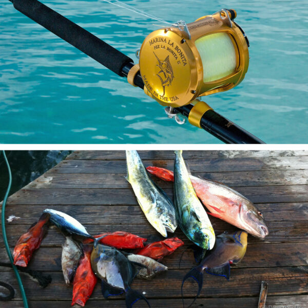 Fishing Charters Puerto Morelos